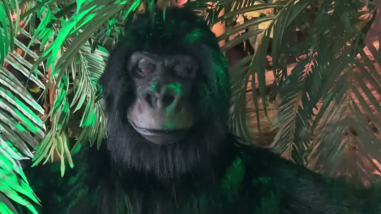 Rainforest Cafe animatronics at ￼Niagara Falls, NY