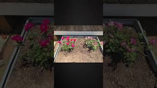 TOUFUN Metal Raised Garden Bed Outdoor for Vegetables Flowers & etc link is below ⬇️ 🔗⬇️❤️🌹😍