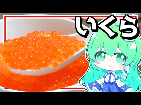 【ゆっくり料理】早苗は大好きないくらを綺麗に作ってみた！【ゆっくり実況】【さなミラ】