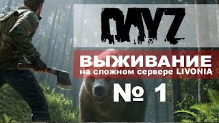 ИГРАЮ НА ПИРАТКЕ DAYZ ВЫЖИВАЮ