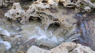 Flowing Water - Hanekamp's - Abbey of Gethsemani Trails - Trappist, Kentucky - 3/11/2024