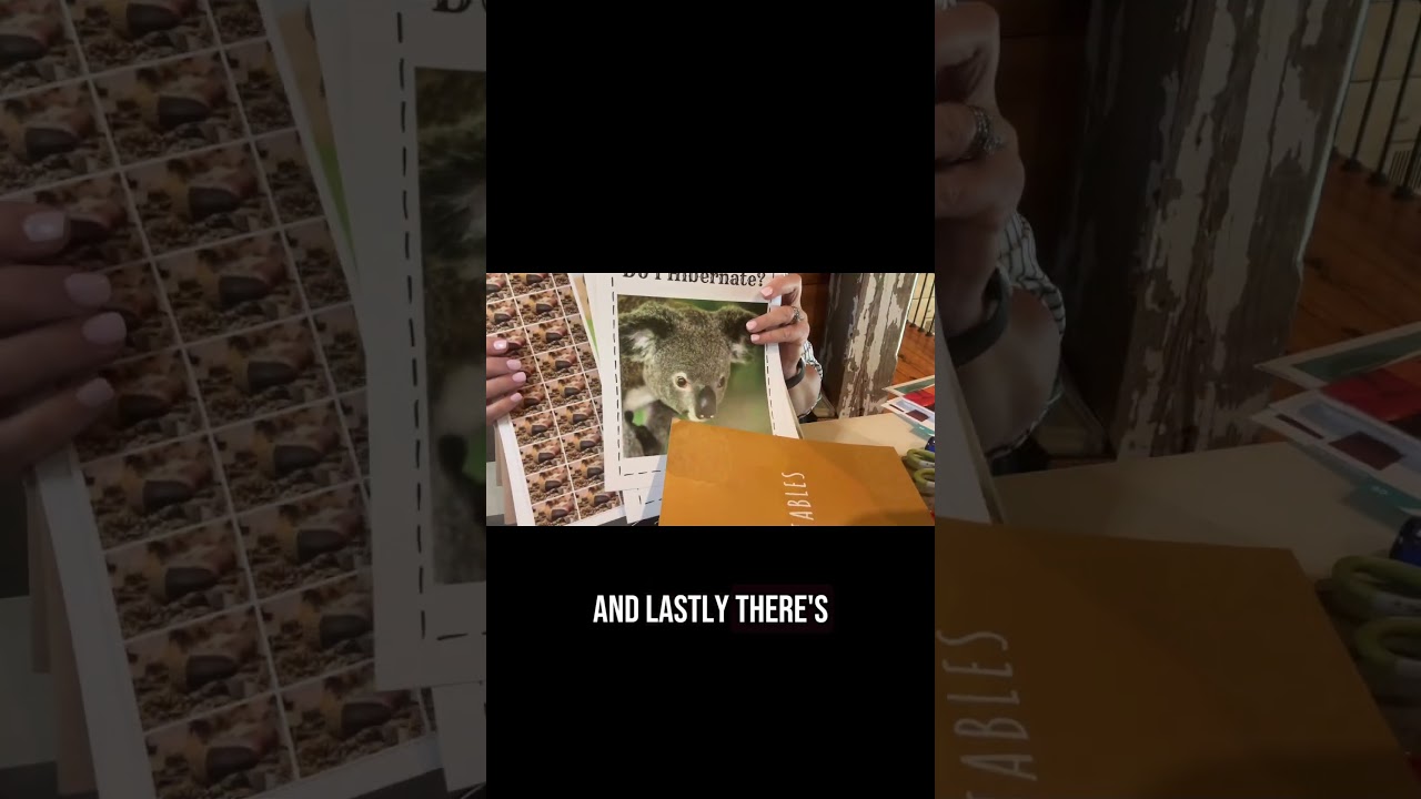 A Year of Playing Skillfully Waltkthrough 