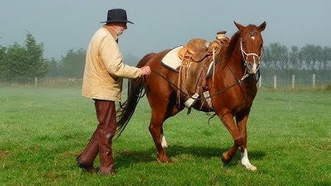 Training With Feel - A Basic Understanding