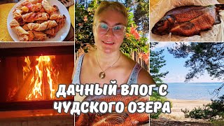 Дача в Эстонии.Чудское озеро.Купаемся и загораем.Копченый лещ на обед.Чищу стекло камина.Дачный влог