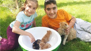 Our Cat Corn and Puppies.Kedimiz Mısır ve Yavruları