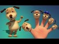 Perros dedo de la familia | Canciones para niños | Finger Family Rhymes | Dogs Finger Family