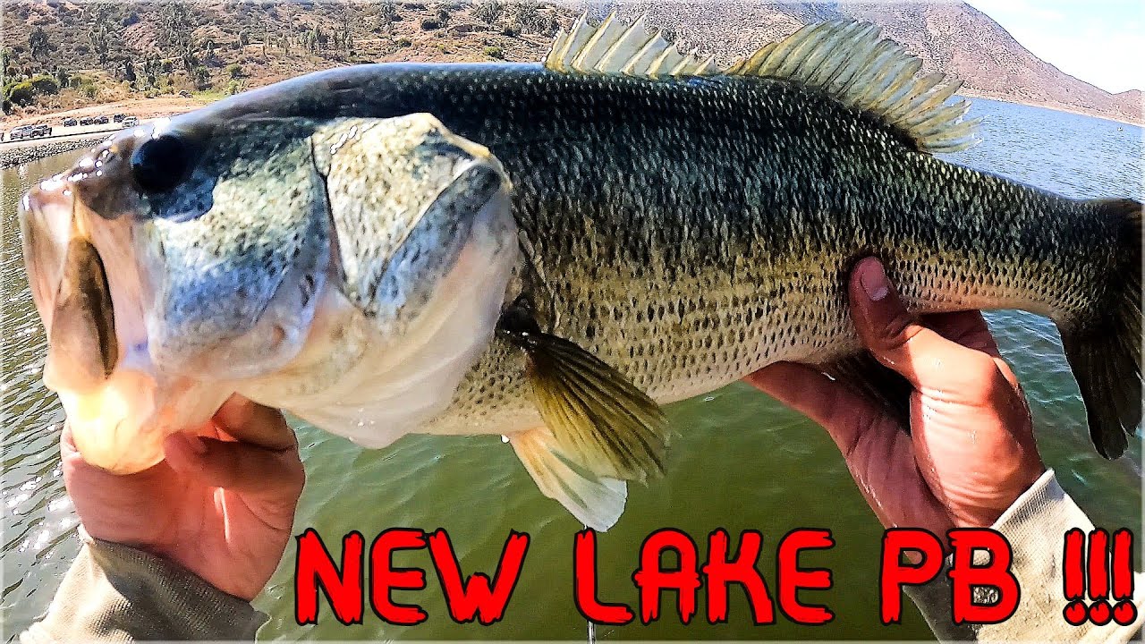 CATCHING BIG BASS AT EL CAP