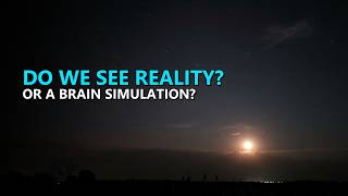 The Map of Consciousness: Do We See Reality or Is the Brain Generating a Movie? | 2.5-Hour screenshot 5