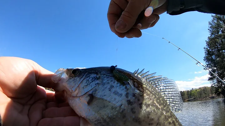 Fishing The Pre Spawn For Crappie/Where to Find Pre Spawn Crappie
