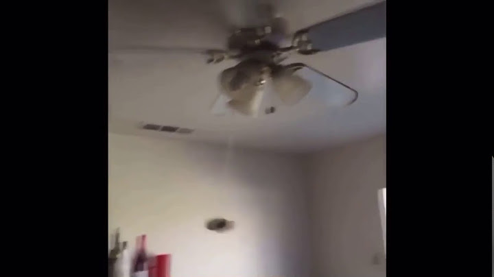 A potato flew around my room vine