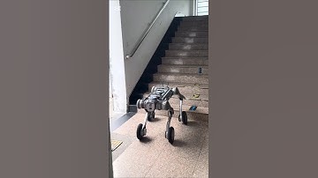 Unitree B2-W A New Intelligent Species, Agile Movement, All-Terrain Capable  #ai #humanoidrobot #yt