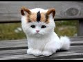 Adorable Cats Compilation - Most Beautiful Cats In The World #3