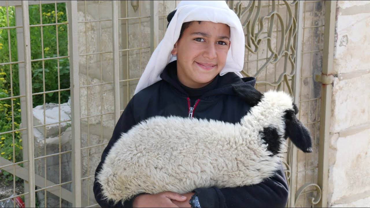 Holy Land Tour Part Three - Israel