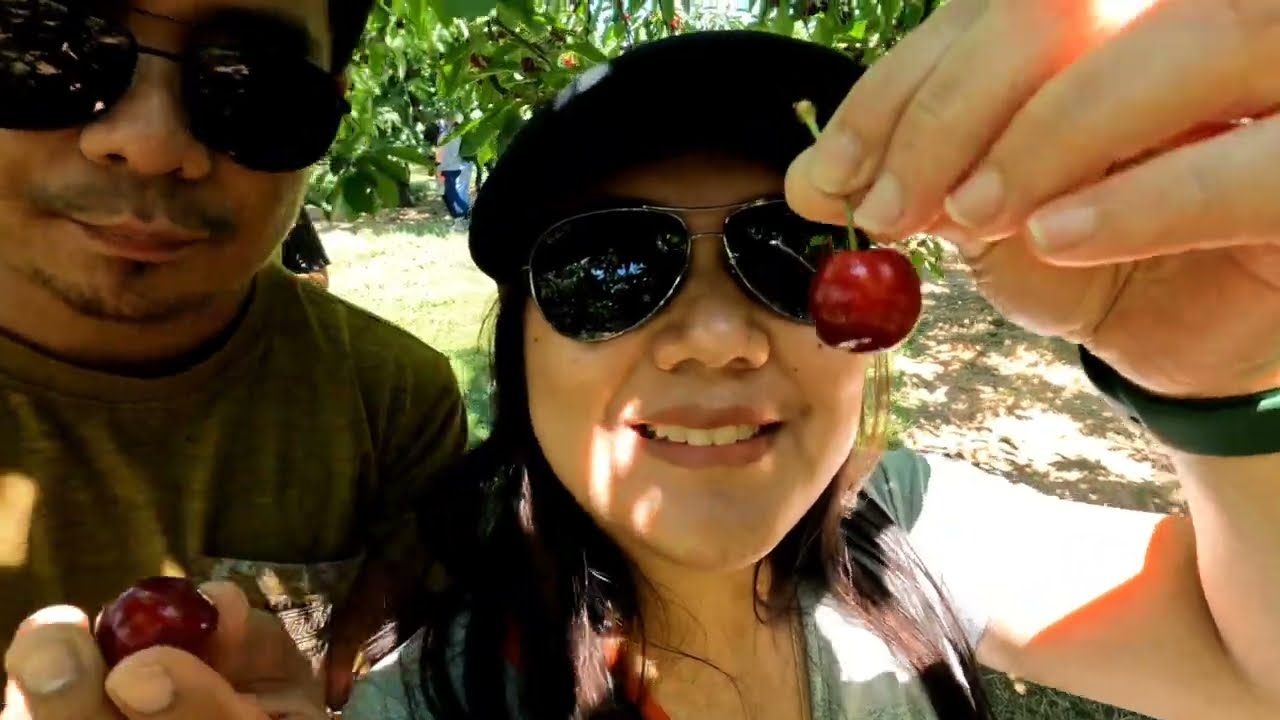 Cherry Avenue Farm, Ontario 