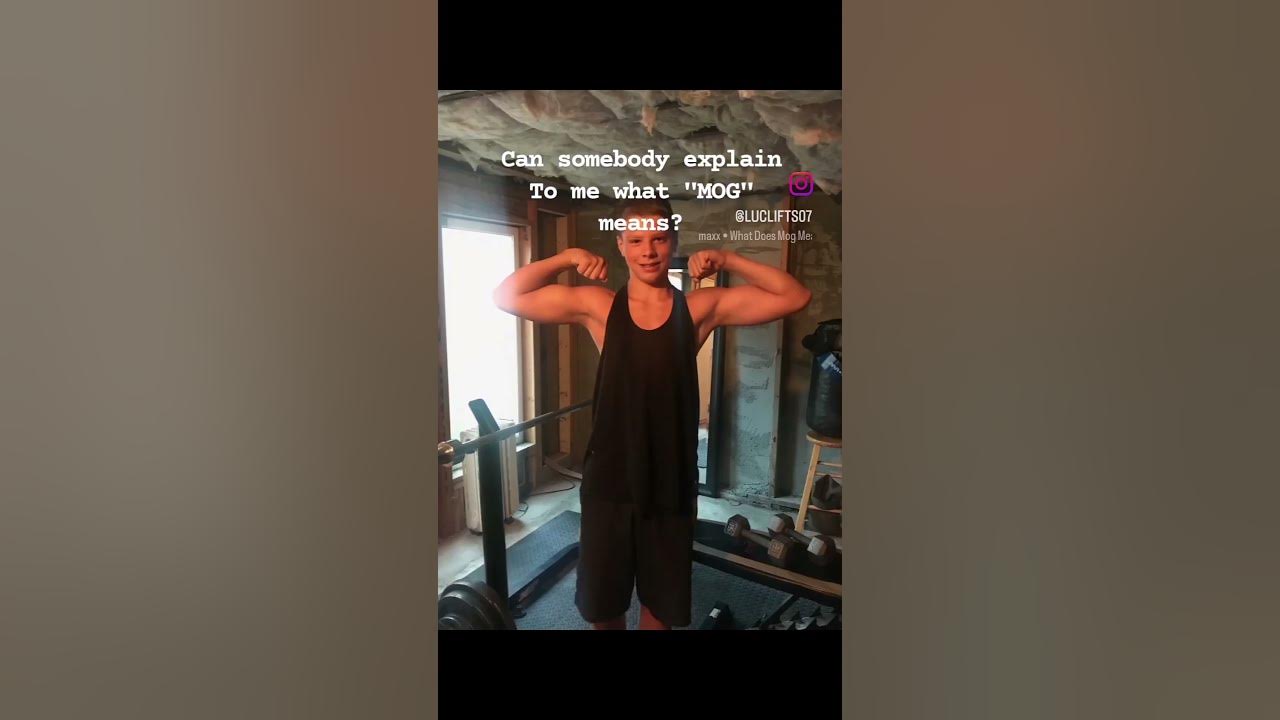 what-does-mog-mean-motivation-workoutzoneodybuilding-bodybuilding