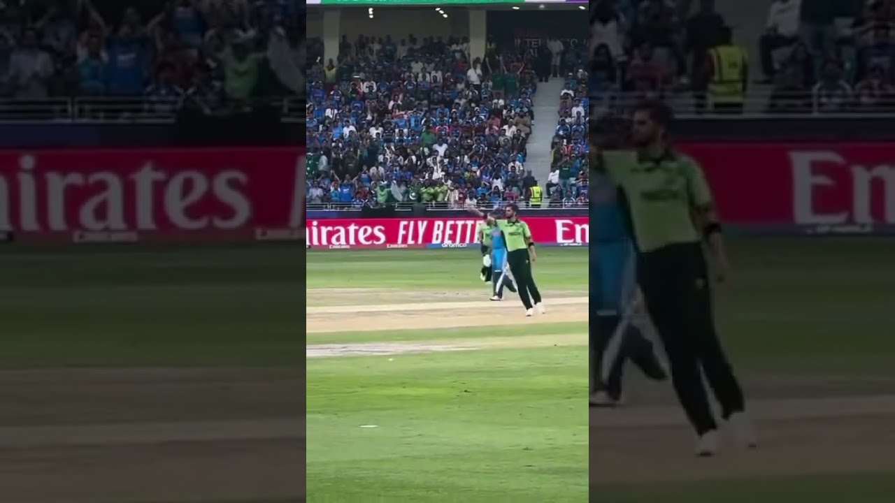 Shaheen Afridi Bowled Rohit Sharma Championstrophy2025 Cricket Teamindia
