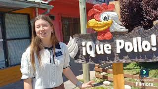 Aspen Curtis UVU Ambassador Application Video!!!