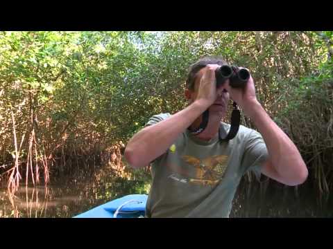 ADVENTURE - Birding