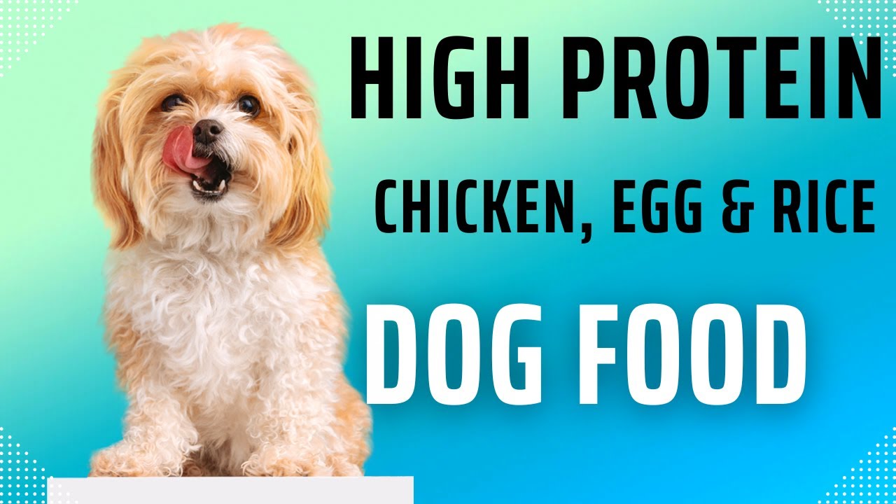 Making Healthy Dog Food Recipe #2 | High Protein Chicken, Egg ...