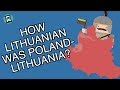 How Lithuanian was Poland Lithuania? (Short Animated Documentary)