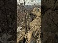 Хочется жить #тревогадима