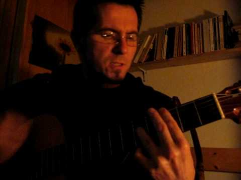 bad religion - conquer the world (acoustic cover & vocals)