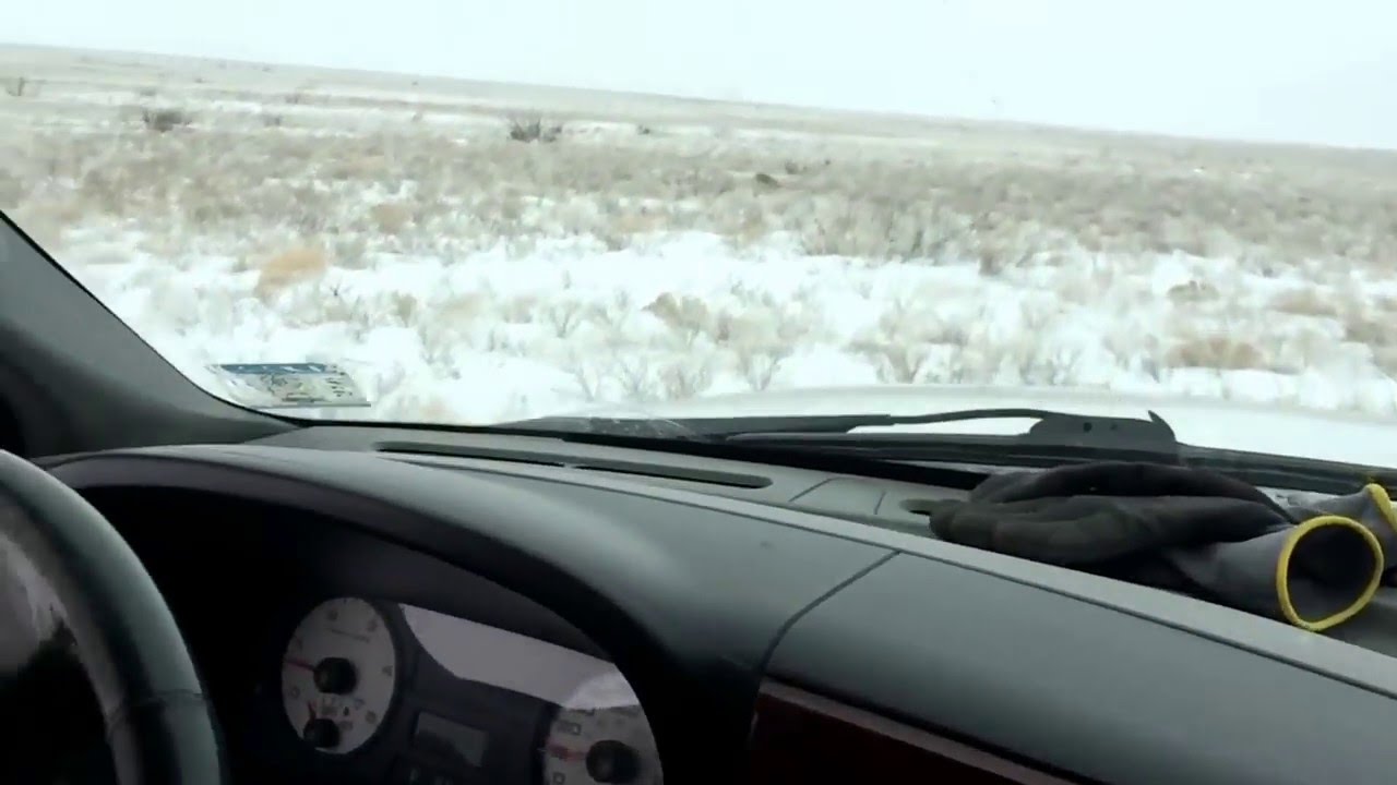 Coyote hunting with greyhounds YouTube