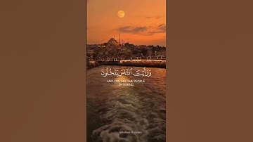 سورة النصر 🌿🤍