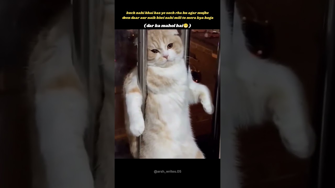 Dar ka mahol hai 😁 