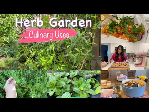 Vídeo: Culinary Herb Gardens - Como criar um jardim de ervas comestíveis