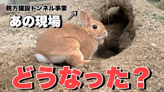 うさぎ親方の仕事となったトンネル事業のご報告　No.1590