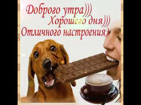 С добрым утром//Отличного настроения на весь день!