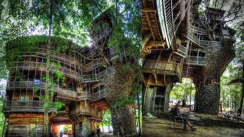 Conheça a maior casa na árvore do mundo!!