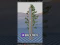Devlog #11: Dynamic Branches