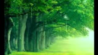 Zafer Kiran Yar Boşunam - Aman Başi̇m - Van Kalesi̇