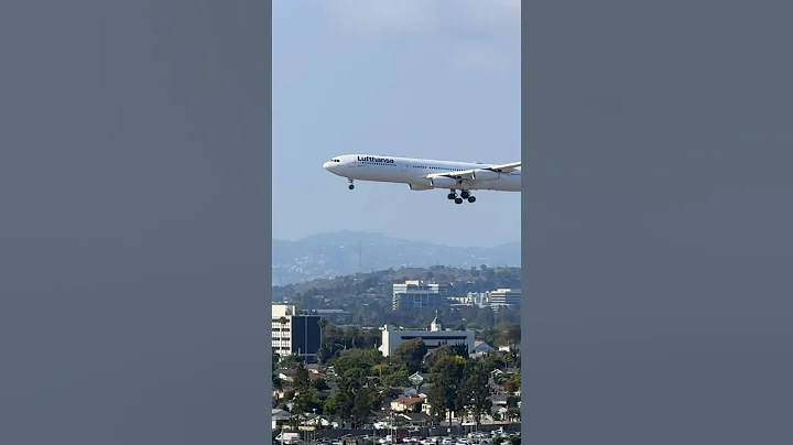 🇩🇪 Lufthansa A340 Landing at LAX! | D-AIGX | #planespotting  #shorts