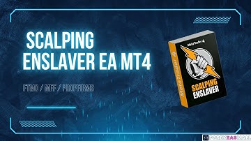 Scalping Enslaver EA MT4 NoDLL - Review and how to set up