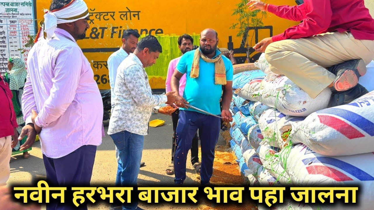 2 March 2026 नवीन हरभरा बजार जालना मार्केट || navin harbhra bajar bhva