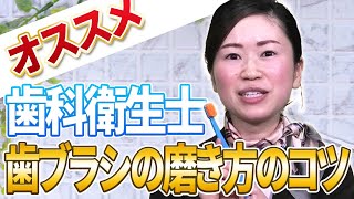 【歯科衛生士推奨】CURAPROX（クラプロックス）の使い方