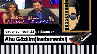 Perviz Bulbule Turkan velizade Ahu gozlum notlari piano tutorial instrumental karaoke