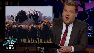 James Corden Has Big Eyes for the Big Cow