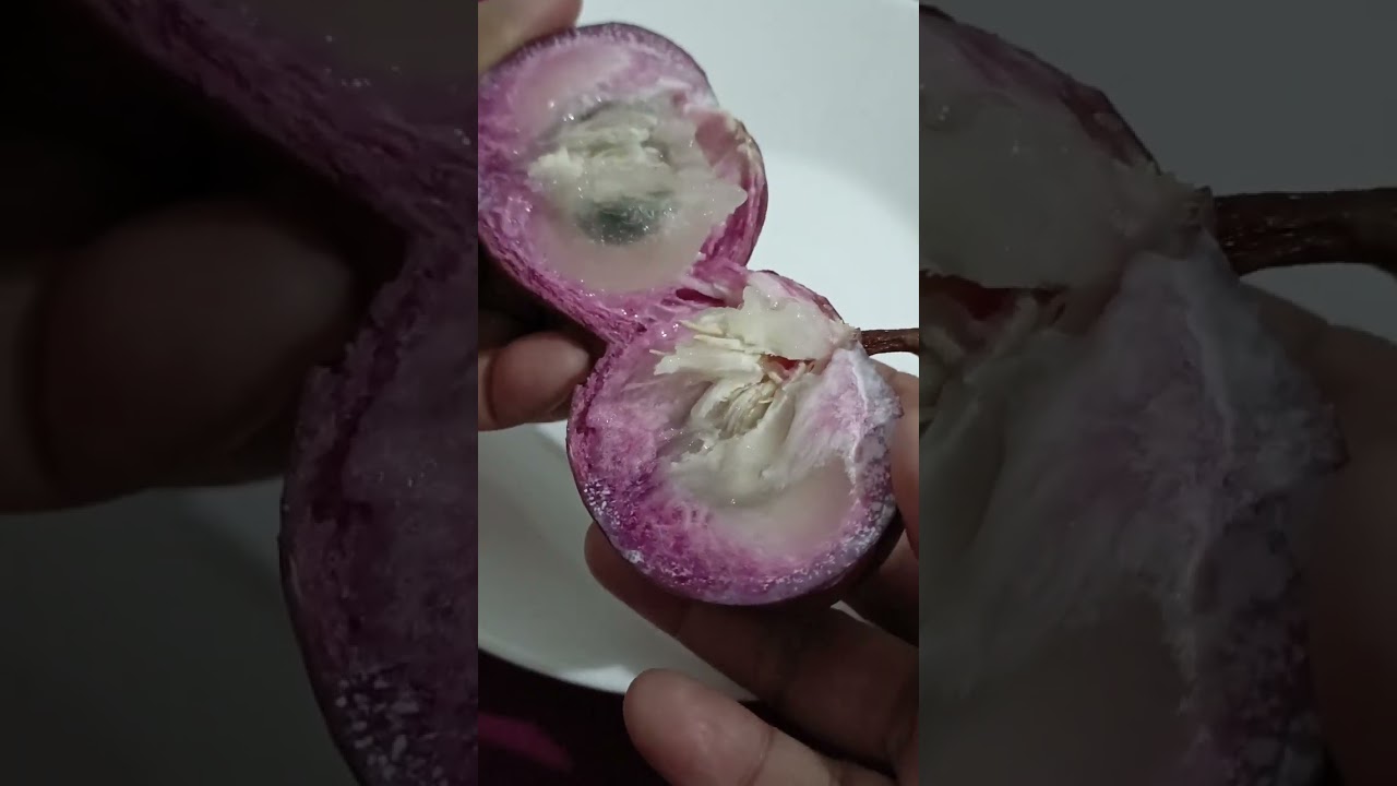 HOW TO EAT STAR APPLE