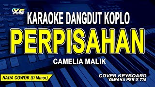 PERPISAHAN KARAOKE NADA PRIA - CAMELIA MALIK (VERSI DANGDUT KOPLO