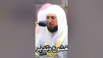القارئ ماهر المعيقلي تلاوة رائعة حالات واتس اب (سورة الزخرف) 💛