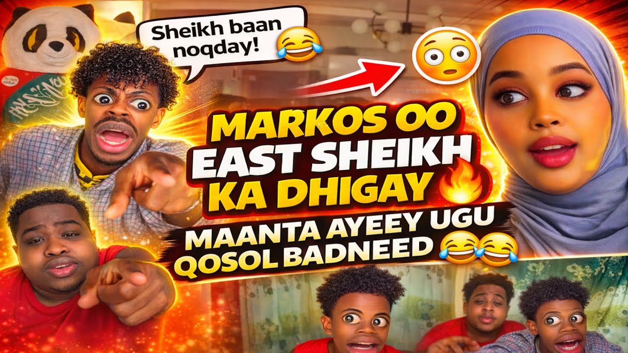 MARKOS OO EAST SHEIKH KA DHIGAY MAANTA AYEEY UGU QOSOL BADNEED 🤣🤣🤣