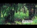 Bina Alabarin Music Video 