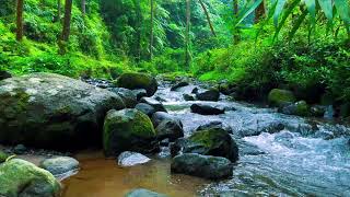 🌊 Gentle River Sounds for Sleep, Study, Relaxation and Peaceful Mind 📚
