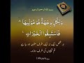 ولكل وجهة هو موليها فاستبقوا الخيرات     