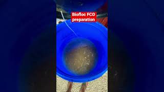 Biofloc FCO Preparation #shortsvideo #bioflocfish