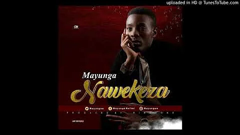 Mayunga-Nawekeza(Audio)